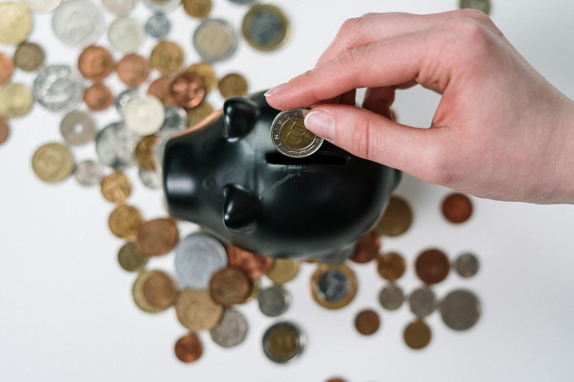 Savings and emergency fund visual